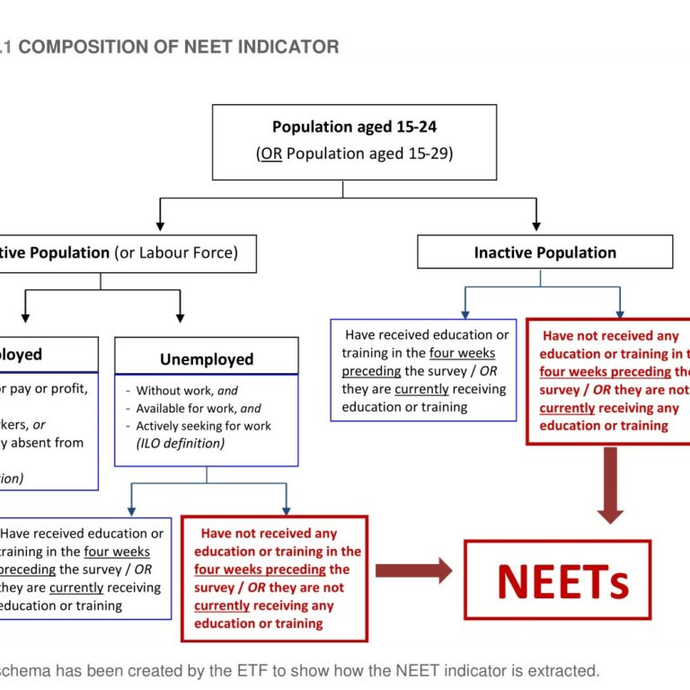 1. schemat_NEET