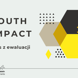 Youth Impact_grafika do posta